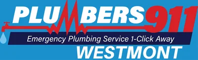 Plumbers 911 Westmont